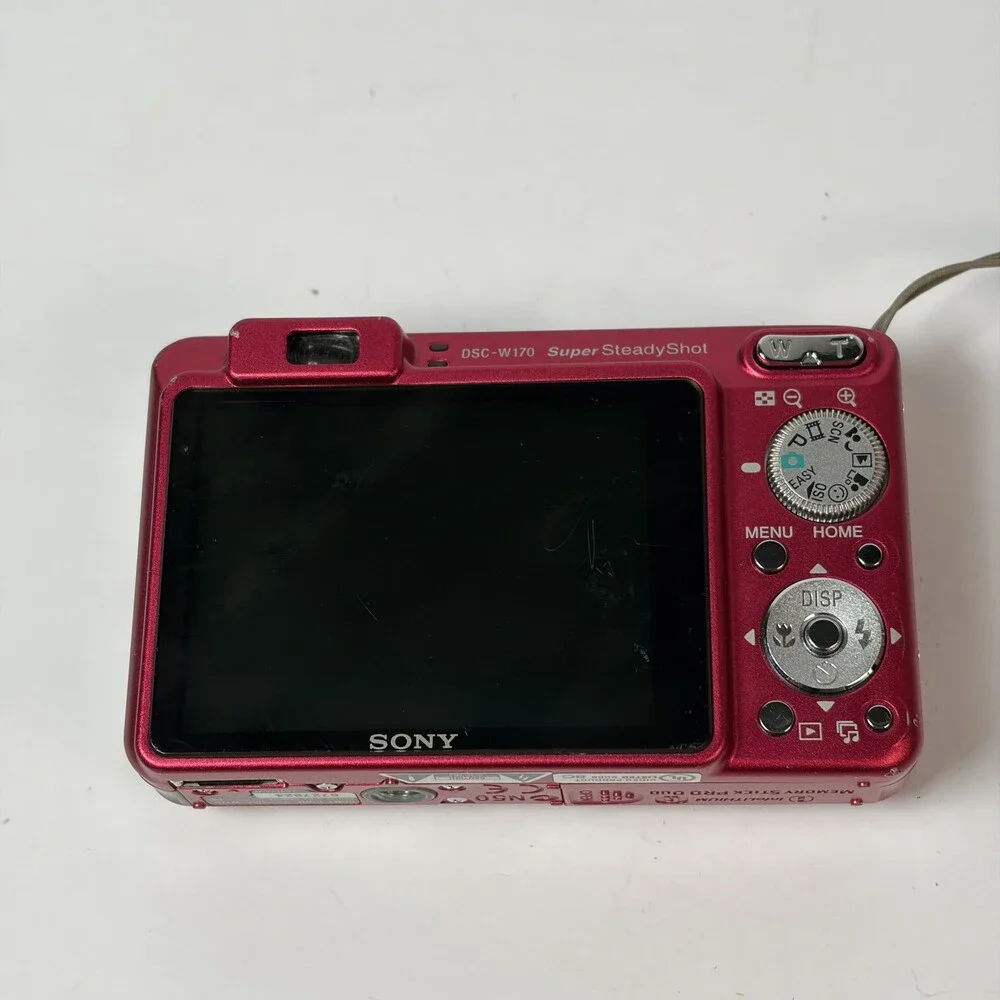 Sony Cyber-shot DSC-W170 10.1MP Digital Camera Red w/ Charger & Extra Battery